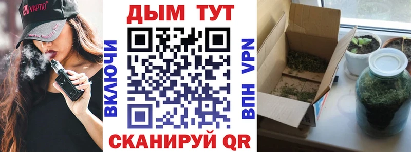 Купить наркоту Теберда Кокаин  Мефедрон  Псилоцибиновые грибы  МАРИХУАНА  Гашиш 
