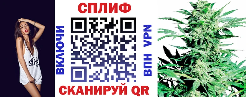 MEGA онион  Теберда  Бошки марихуана сатива 